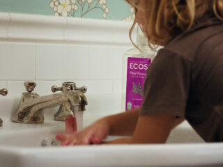 ECOS – Little Messes